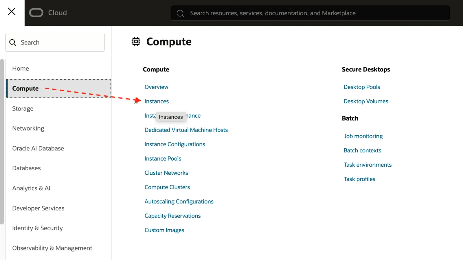 nav_compute_instances